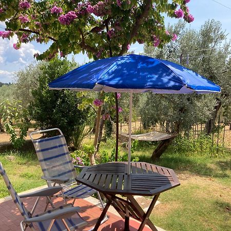 Casa Sisu-Appartamento Immerso Negli Ulivi SantʼElia Fiumerapido Esterno foto