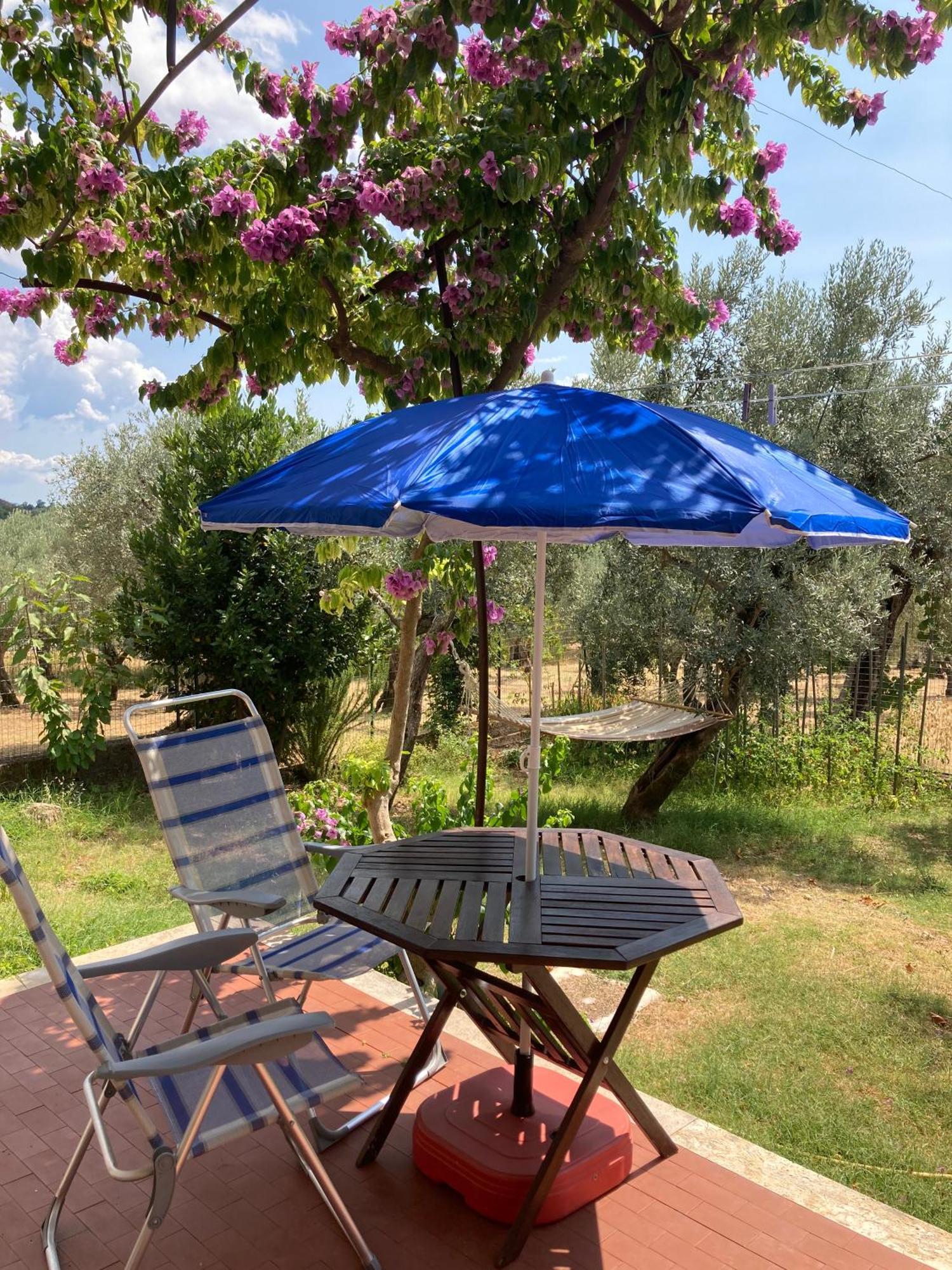 Casa Sisu-Appartamento Immerso Negli Ulivi SantʼElia Fiumerapido Esterno foto