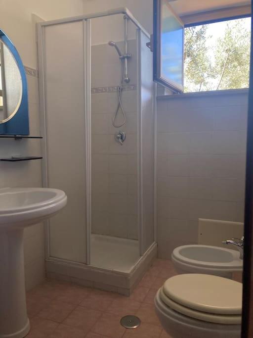 Casa Sisu-Appartamento Immerso Negli Ulivi SantʼElia Fiumerapido Esterno foto