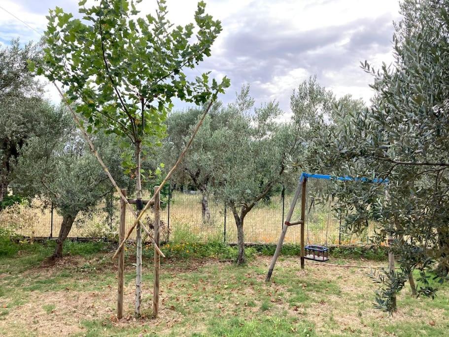 Casa Sisu-Appartamento Immerso Negli Ulivi SantʼElia Fiumerapido Esterno foto