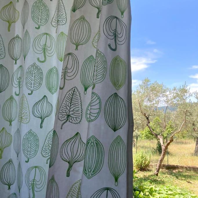 Casa Sisu-Appartamento Immerso Negli Ulivi SantʼElia Fiumerapido Esterno foto