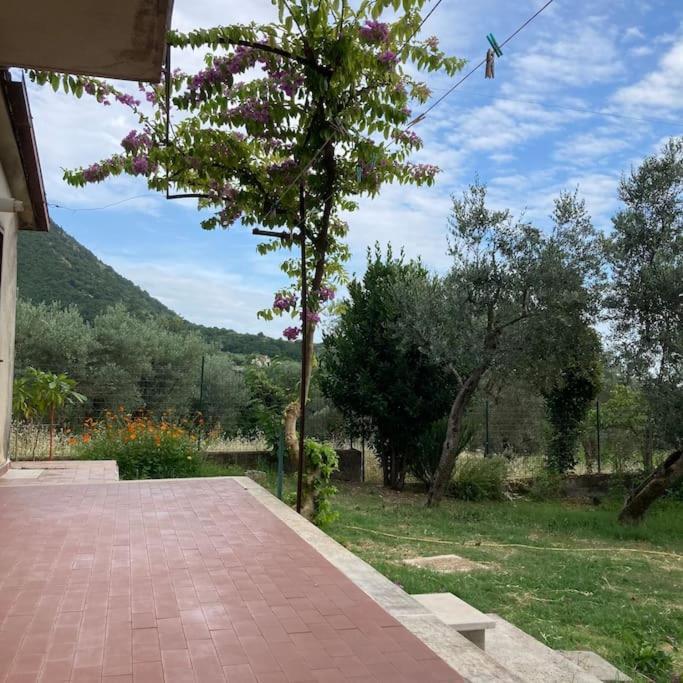 Casa Sisu-Appartamento Immerso Negli Ulivi SantʼElia Fiumerapido Esterno foto
