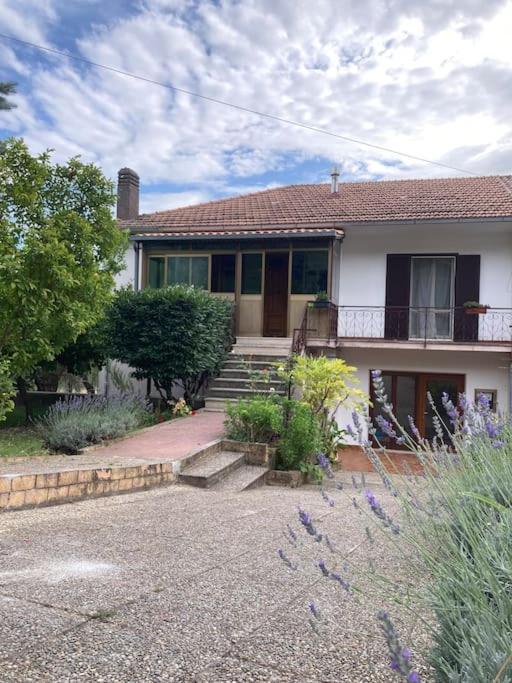 Casa Sisu-Appartamento Immerso Negli Ulivi SantʼElia Fiumerapido Esterno foto