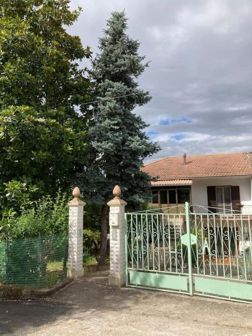 Casa Sisu-Appartamento Immerso Negli Ulivi SantʼElia Fiumerapido Esterno foto