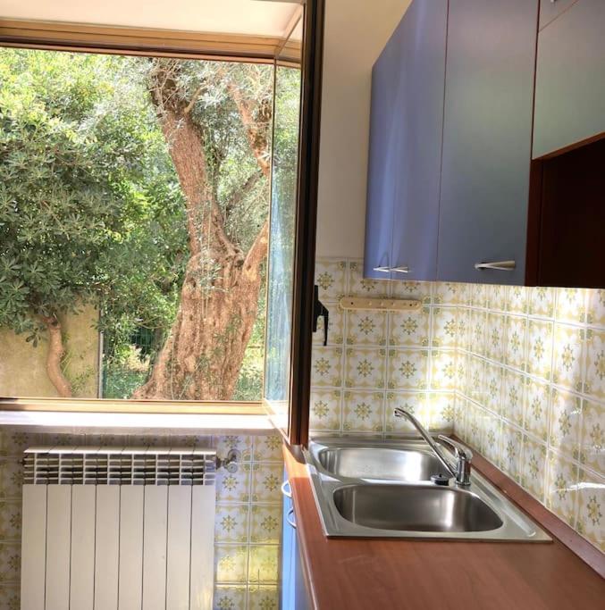 Casa Sisu-Appartamento Immerso Negli Ulivi SantʼElia Fiumerapido Esterno foto
