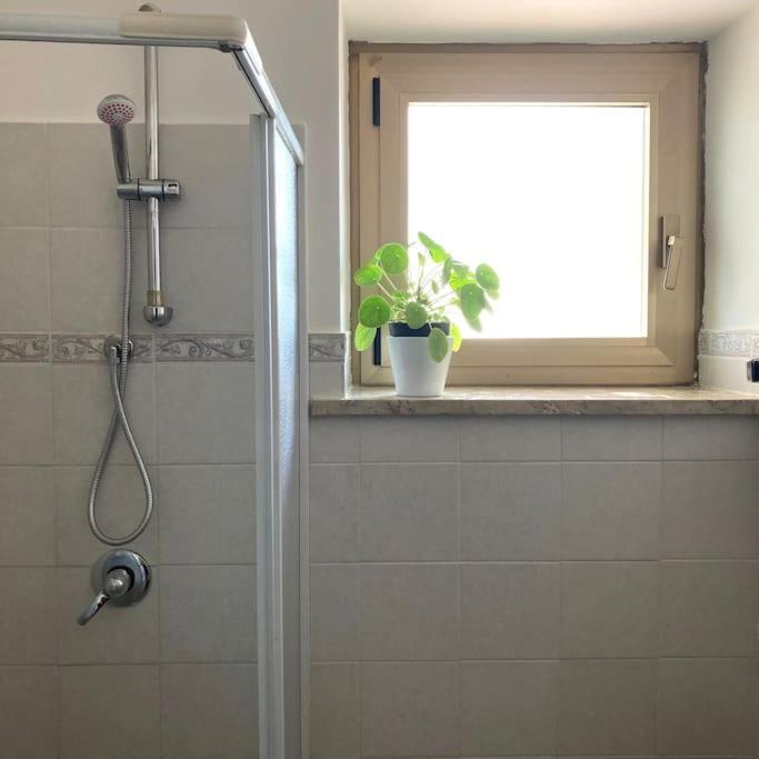 Casa Sisu-Appartamento Immerso Negli Ulivi SantʼElia Fiumerapido Esterno foto