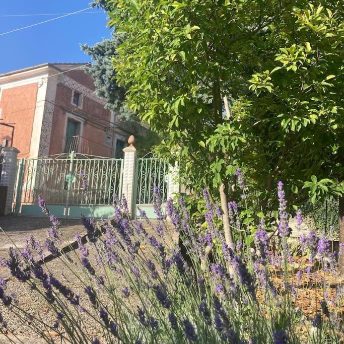 Casa Sisu-Appartamento Immerso Negli Ulivi SantʼElia Fiumerapido Esterno foto