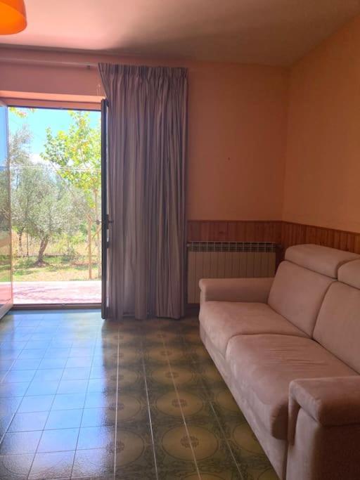 Casa Sisu-Appartamento Immerso Negli Ulivi SantʼElia Fiumerapido Esterno foto