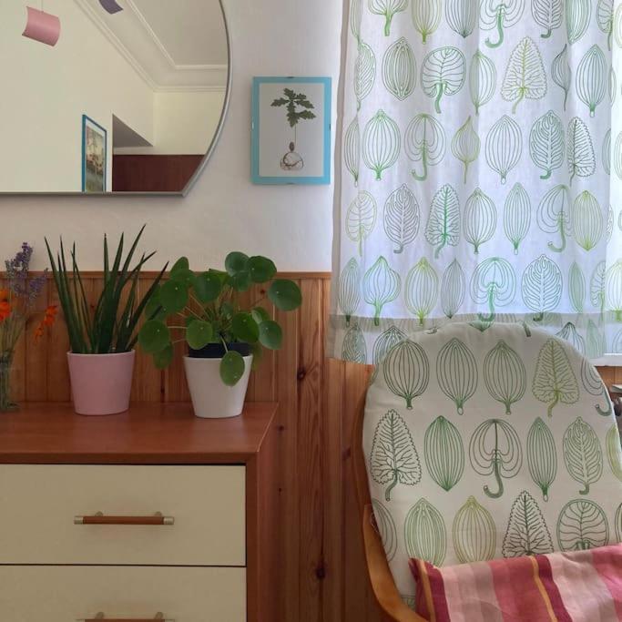 Casa Sisu-Appartamento Immerso Negli Ulivi SantʼElia Fiumerapido Esterno foto