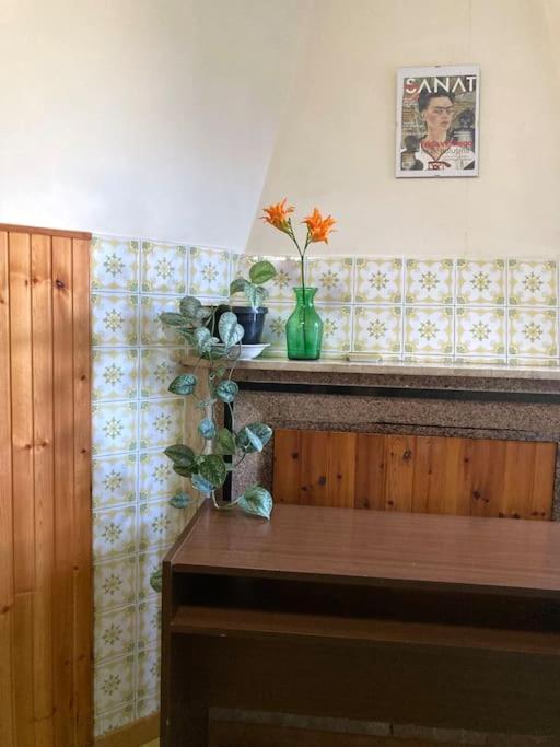 Casa Sisu-Appartamento Immerso Negli Ulivi SantʼElia Fiumerapido Esterno foto